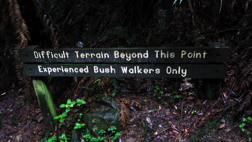 34_Bushwalk